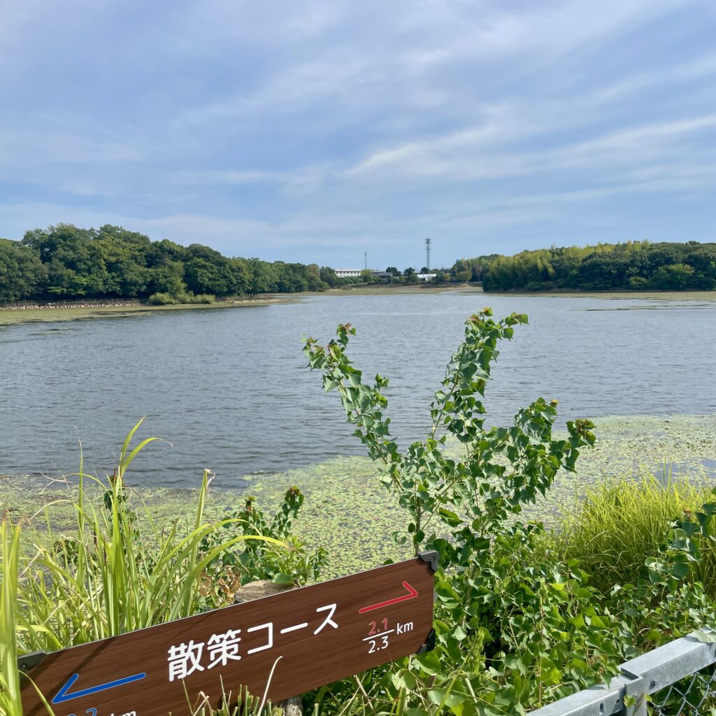 洲原池