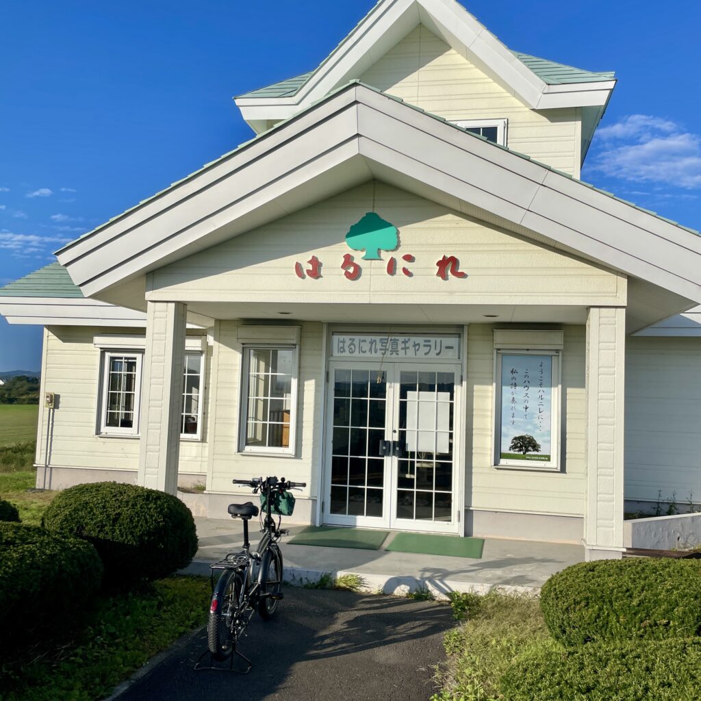 はるにれ